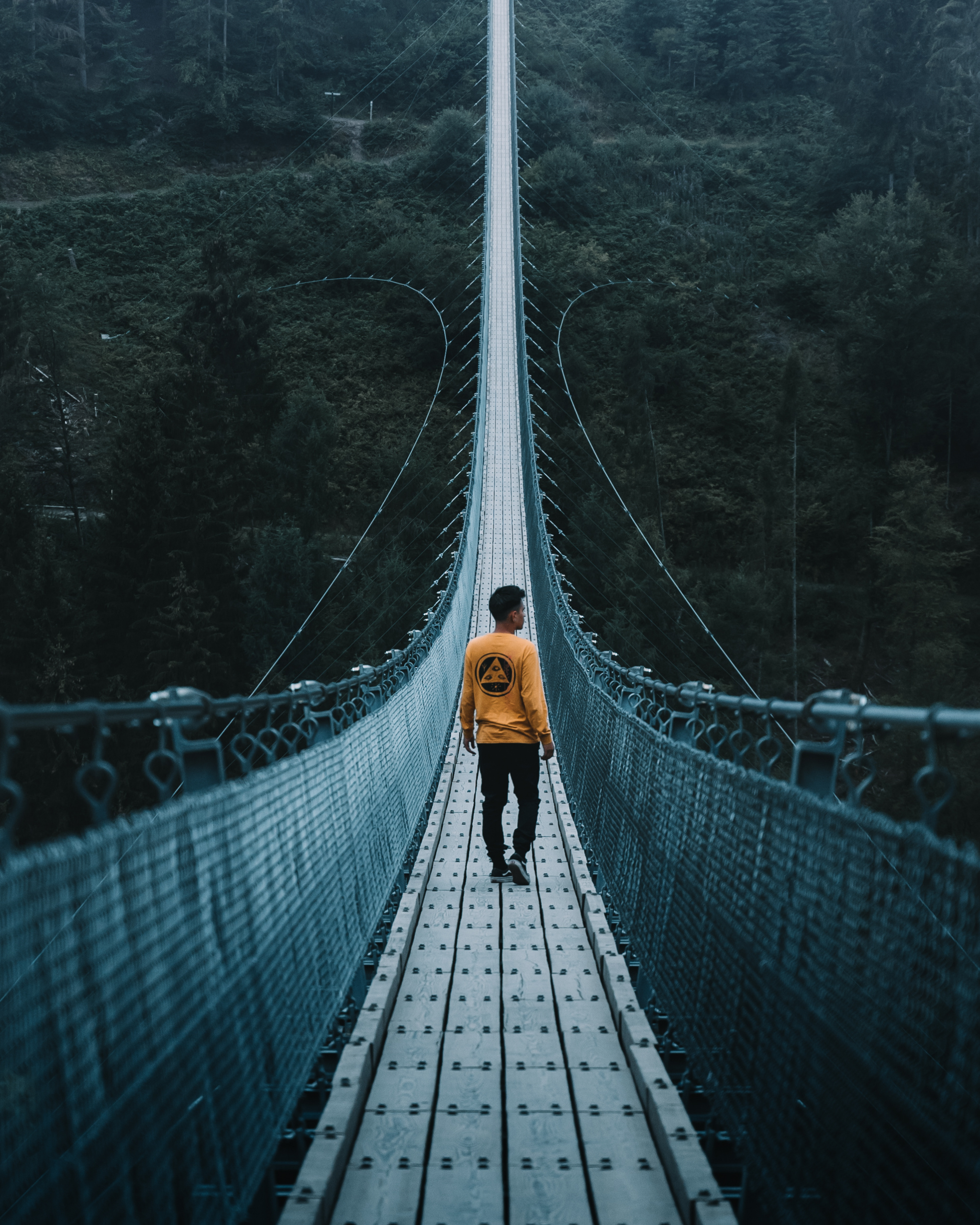 capilano bridge